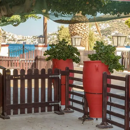 Apartmán 3 Bedroom House In